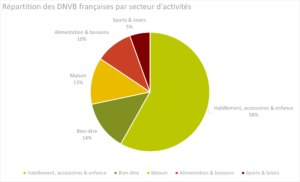 DNVB françaises